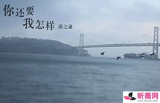 薛之谦最好听的十首歌排行榜 听完这十首的都是骨灰粉