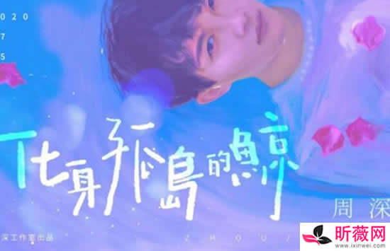 周深最好听的十首歌是哪些 其中2021年新歌直接唱哭网友