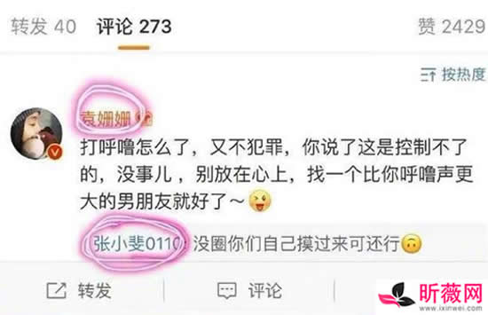 张小斐和袁姗姗怎么了 张小斐和袁姗姗陈年旧事起底 张小斐和袁姗姗怎么了 张小斐和袁姗姗陈年旧事起底