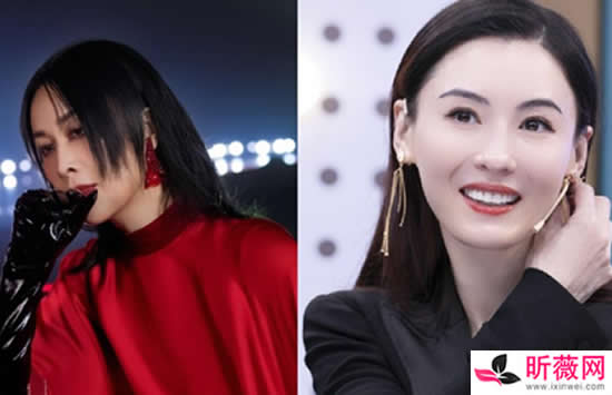 张柏芝和那英关系好吗 张柏芝为什么要选那英组