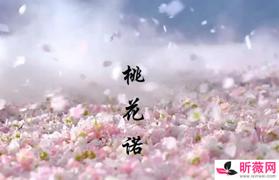 抖音留在爱你的路虔诚夙愿是什么歌 歌曲《桃花诺》演唱者及歌词介绍