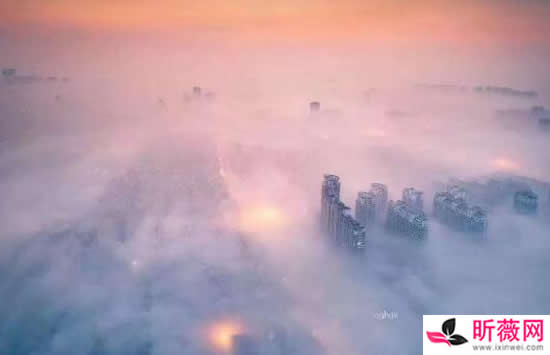 抖音他会在冬日暖阳等风停是什么歌 歌曲《等雾散去》演唱者及歌词介绍