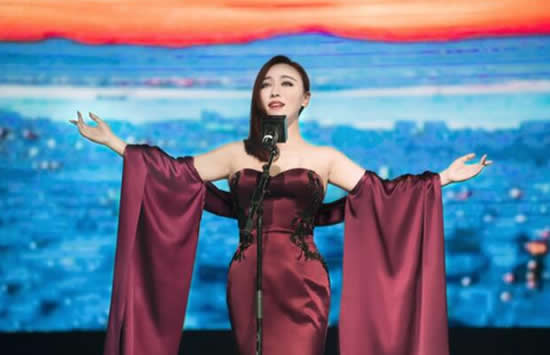 沈腾的姐姐沈娜相关资料介绍 沈娜正面照曝光难怪沈腾是军艺校草