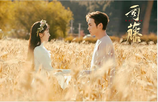 司藤白英的后代是谁 看完这几张海报你就明白了