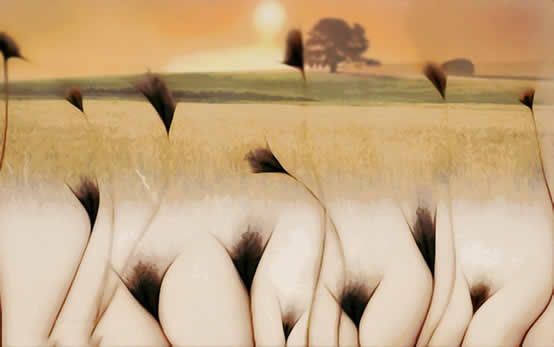 第一眼就吸引人的图片 老司机一眼就被套路了