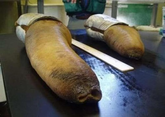 第一眼就吸引人的图片 老司机一眼就被套路了