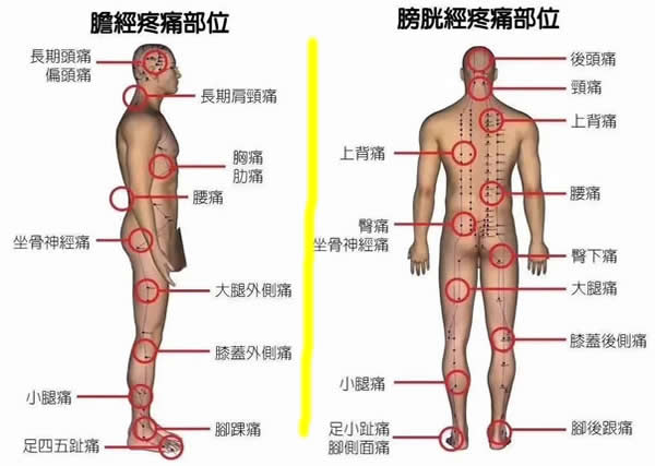 18个痛点的准确位置图：五脏六腑60个痛点图全解读