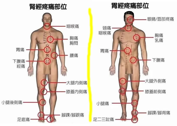 18个痛点的准确位置图：五脏六腑60个痛点图全解读