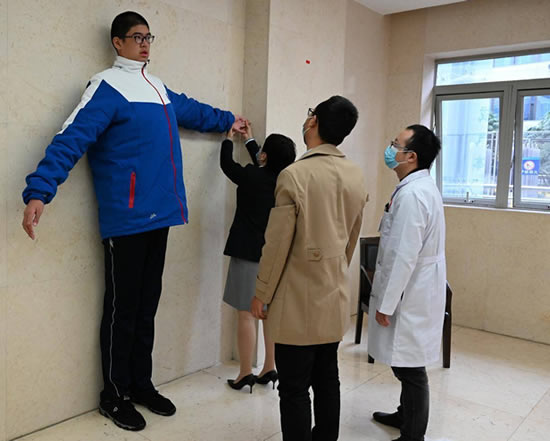 比姚明就差5公分!四川14岁男孩高221厘米 比姚明就差5公分!四川14岁男孩高221厘米