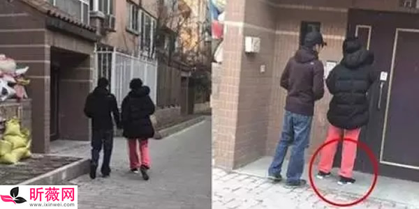 谢霆锋为何与王菲复合