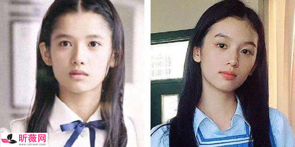 张婧仪周迅什么关系啊（真实关系）