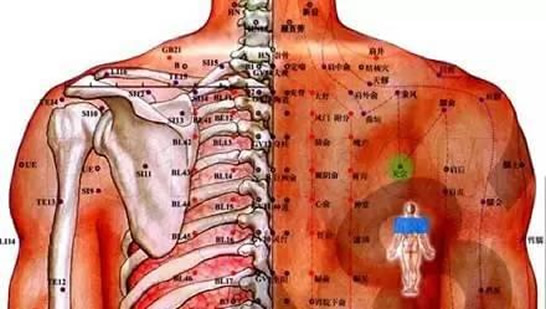 感时大多数代表了身体的某些部位出现问题,下面后背疼痛位置图详解