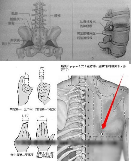 后背疼痛位置图详解身体各个器官疼痛位置图片