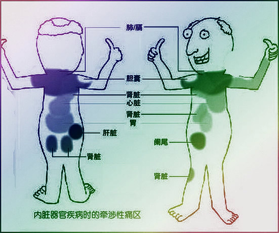 感时大多数代表了身体的某些部位出现问题,下面后背疼痛位置图详解