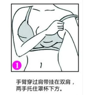 并将胸罩定于胸部下围,将乳房套入胸罩的罩杯中.