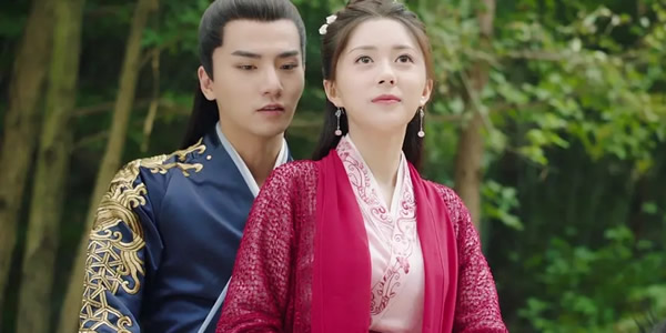 将军家的小娘子好看吗