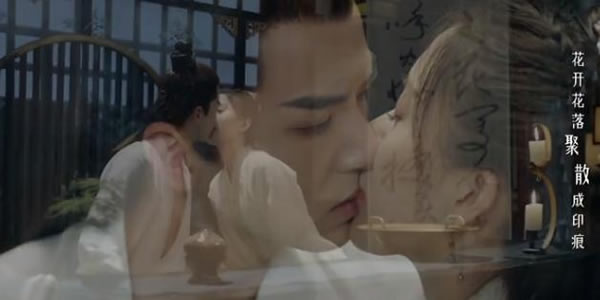 将军家的小娘子好看吗