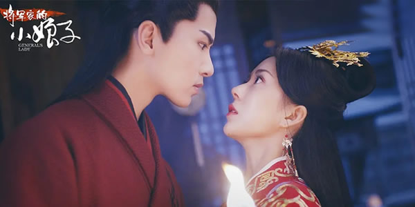 将军家的小娘子剧情讲了什么 将军家的小娘子剧情讲了什么