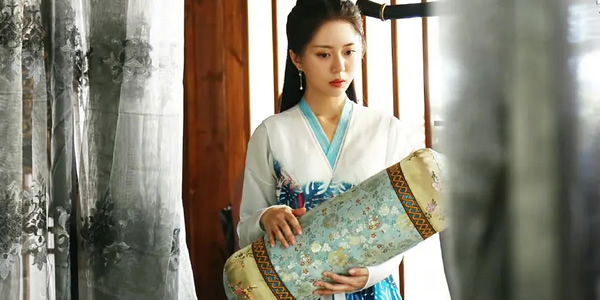 将军家的小娘子剧情讲了什么 将军家的小娘子剧情讲了什么