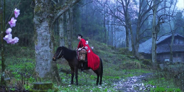 李子柒哪里人住什么地方