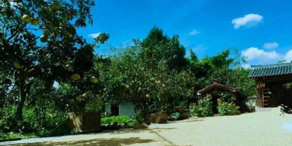 李子柒哪里人住什么地方