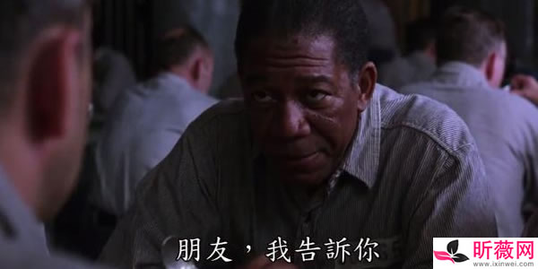 豆瓣评分最高的电影(豆瓣评分9.4-9.7) 豆瓣评分最高的电影(豆瓣评分9.4-9.7)