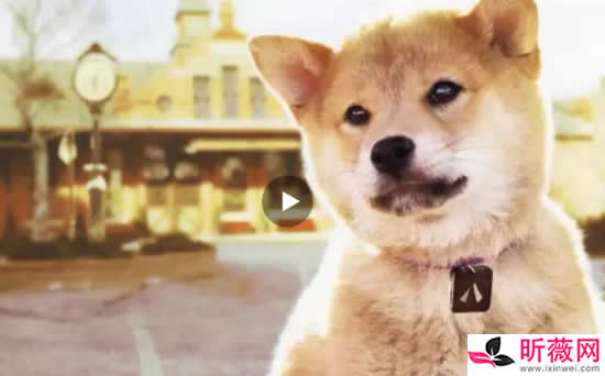 豆瓣高分电影排行10部：9分以上的豆瓣高分电影