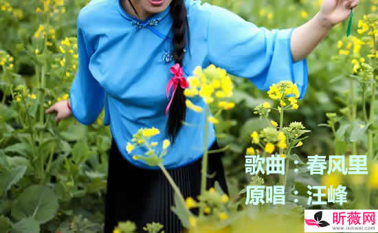 《中国好声音》十大翻红歌曲排行前十名