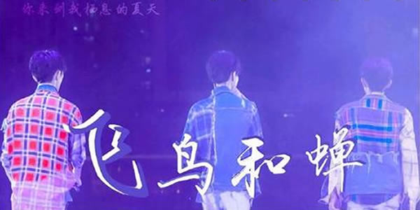 你骄傲的飞远我栖息的夏天是什么歌