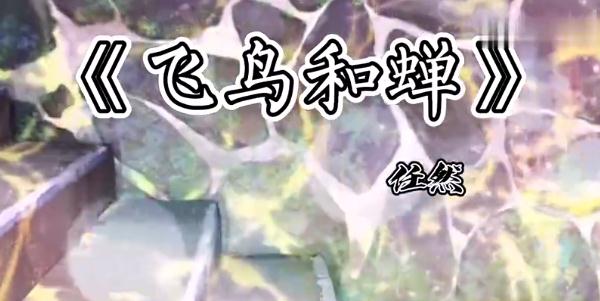 你骄傲的飞远我栖息的夏天是什么歌