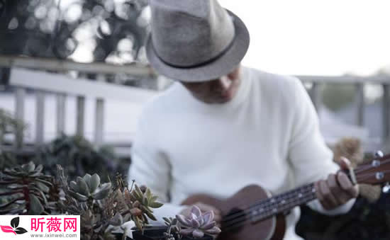 2020抖音里面较火28首歌:2020值得单曲循环的45首歌 2020抖音里面较火28首歌:2020值得单曲循环的45首歌