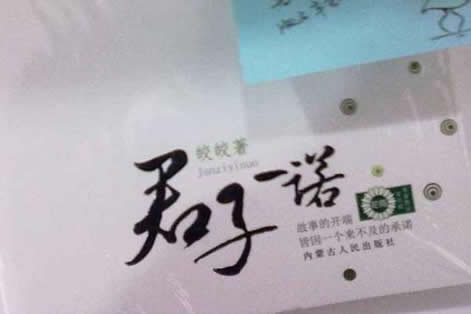 类似骄阳似火的小说