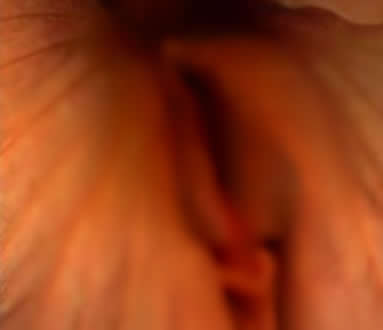 女人各种类型阴部：花朵演示女性私处美图