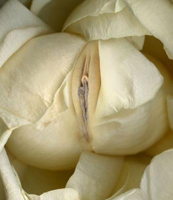 女人各种类型阴部：花朵演示女性私处美图