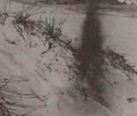 有人拍到了末影人:拍到黑影的恐怖照片 有人拍到了末影人:拍到黑影的恐怖照片