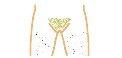 女人私处健康的阴毛造型：图揭时髦私处阴毛造型