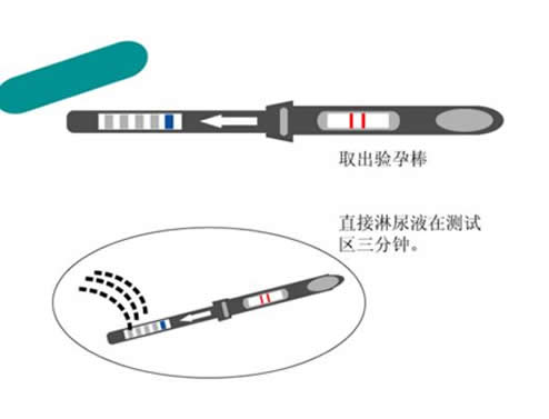 验孕棒怎么看：教你验孕棒使用方法图解法