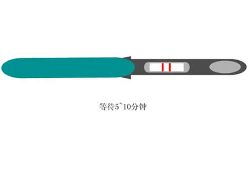 验孕棒怎么看：教你验孕棒使用方法图解法