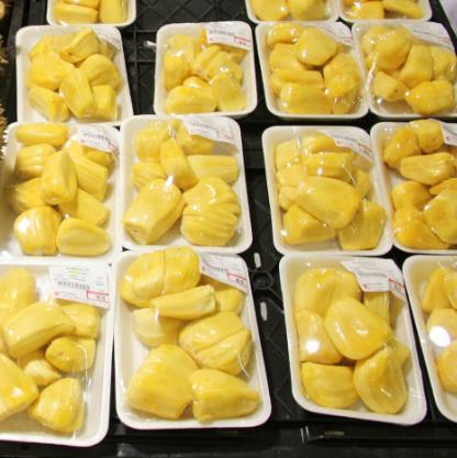 菠萝蜜的营养价值:常吃菠萝蜜好处,菠萝蜜怎么吃怎么挑 菠萝蜜的营养价值:常吃菠萝蜜好处,菠萝蜜怎么吃怎么挑