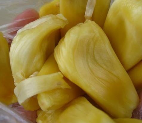 菠萝蜜的营养价值:常吃菠萝蜜好处,菠萝蜜怎么吃怎么挑 菠萝蜜的营养价值:常吃菠萝蜜好处,菠萝蜜怎么吃怎么挑