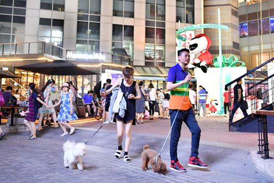 吸宠社交了解一下 全国首个宠物友好街区“旺街”萌袭津门 吸宠社交了解一下 全国首个宠物友好街区“旺街”萌袭津门