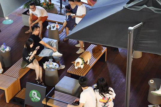 吸宠社交了解一下 全国首个宠物友好街区“旺街”萌袭津门 吸宠社交了解一下 全国首个宠物友好街区“旺街”萌袭津门