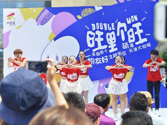 吸宠社交了解一下 全国首个宠物友好街区“旺街”萌袭津门 吸宠社交了解一下 全国首个宠物友好街区“旺街”萌袭津门