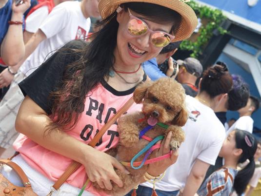 吸宠社交了解一下 全国首个宠物友好街区“旺街”萌袭津门 吸宠社交了解一下 全国首个宠物友好街区“旺街”萌袭津门