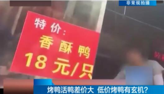 18元一只烤鸭调查:个个油光发亮,竟是吃补药速成长大 18元一只烤鸭调查:个个油光发亮,竟是吃补药速成长大