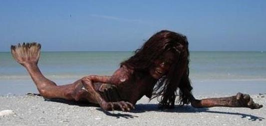 真正美人鱼:美人鱼之谜,真实记载的美人鱼事件 真正美人鱼:美人鱼之谜,真实记载的美人鱼事件