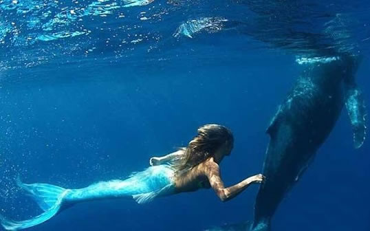 真正美人鱼:美人鱼之谜,真实记载的美人鱼事件 真正美人鱼:美人鱼之谜,真实记载的美人鱼事件