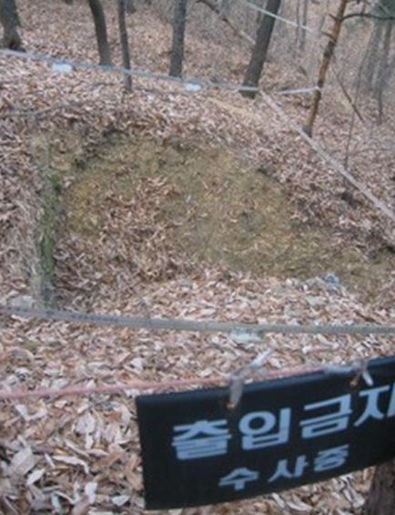 青蛙少年失踪案:青蛙少年失踪案简介及六大疑点 青蛙少年失踪案:青蛙少年失踪案简介及六大疑点