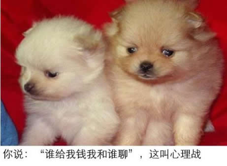 聊天话题100句幽默(全文) 聊天话题100句幽默(全文)