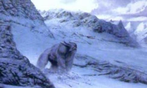 喜马拉雅山雪怪之谜：雪怪是什么生物真的有雪怪吗